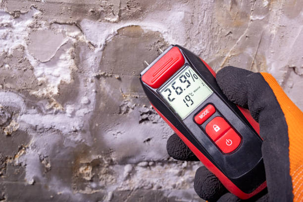 Best Mold Damage Repair  in North Ridgeville, OH