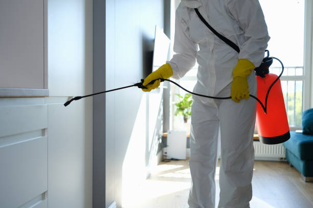 Best Toxic Mold Removal  in North Ridgeville, OH