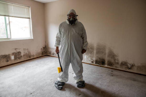 Best Certified Mold Removal  in North Ridgeville, OH